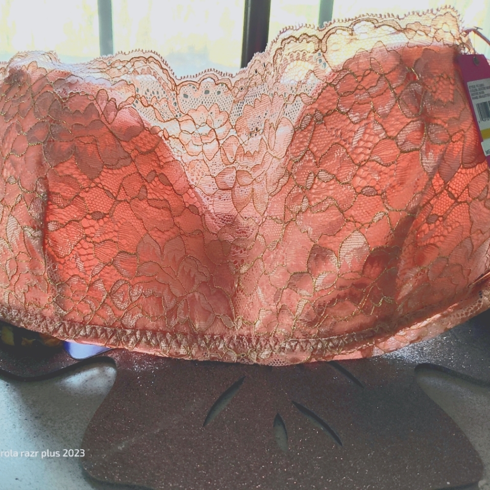 20 $ SALE!-New-Vince Camuto Bralette and Matching Garter